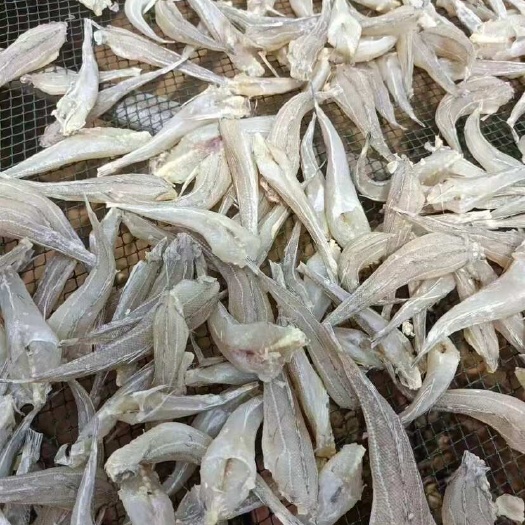 玉林摆地摊，跑江湖，展销会畅销品