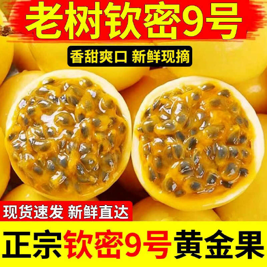 南宁黄金百香果海南新鲜大果现摘钦蜜现发纯甜当季水果包邮