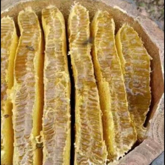 杭州蜂蜜