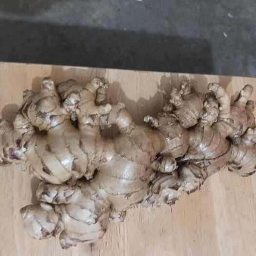 紫金县新鲜生姜销售