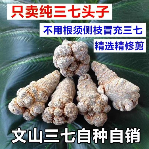 文山市【云南文山发货】无硫文三七春三七金不换无剪口滑头田七打粉包邮