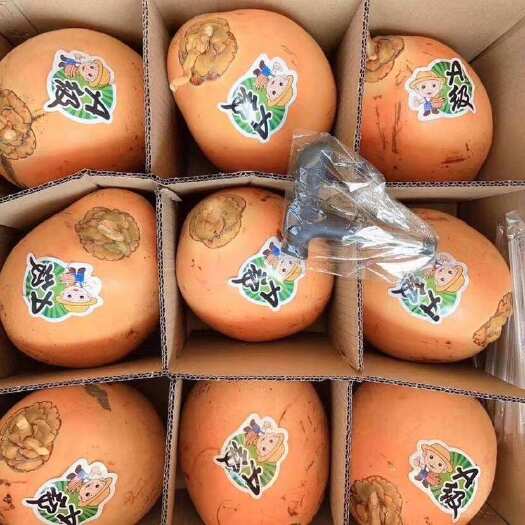 万宁市海南万宁黄金椰孕妇佳品