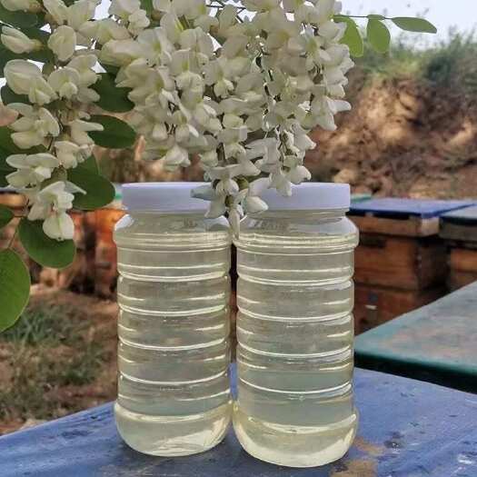 长葛市秦岭槐花蜜 24个月保鲜 农副营养滋补食品 长葛特产天然蜂蜜