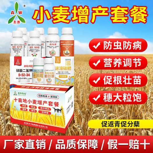 潍坊小麦一喷三防增产套餐 防冻防病防虫促根壮苗籽粒饱满营养调节