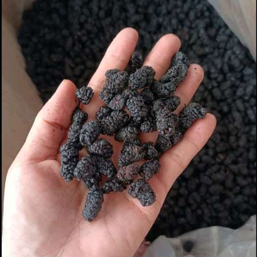 玉林桑葚黑桑葚子桑椹果干泡水泡茶桑葚泡酒