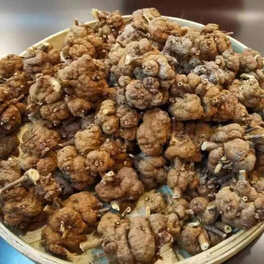 亳州消瘤果新货消瘤果云南瑶族消瘤藤消消果消留果