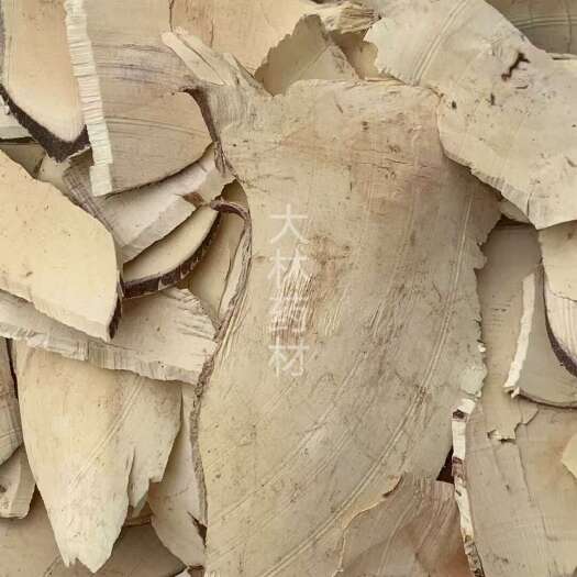玉林长期供应｛白背根｝可批量可零售量大从优【包邮】