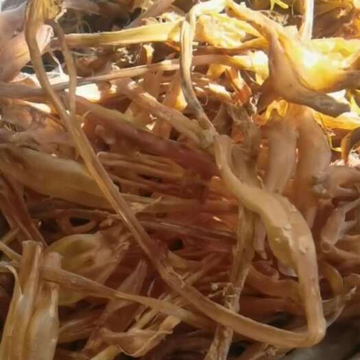 昆明干牛蹄筋
