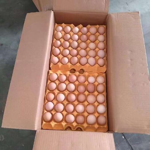 大量批发散养精品新鲜土鸡蛋草鸡蛋笨鸡蛋柴鸡蛋 五谷蛋