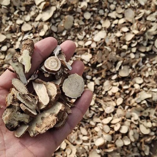 伏牛山区苦参，非种植货源，干货。可长期供货，量大价格可谈。