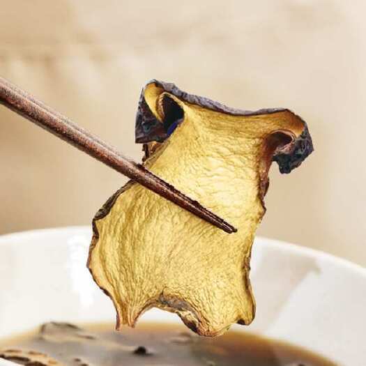 上海黑牛肝菌