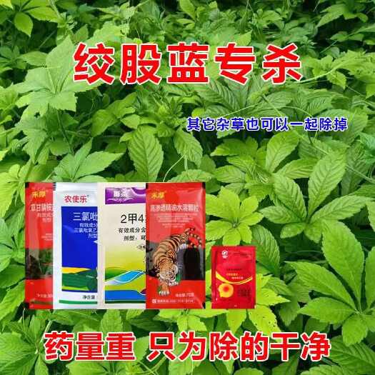 郑州绞股蓝专杀除草剂藤类杂草除草剂爬藤类除草剂藤类阔叶杂草专杀