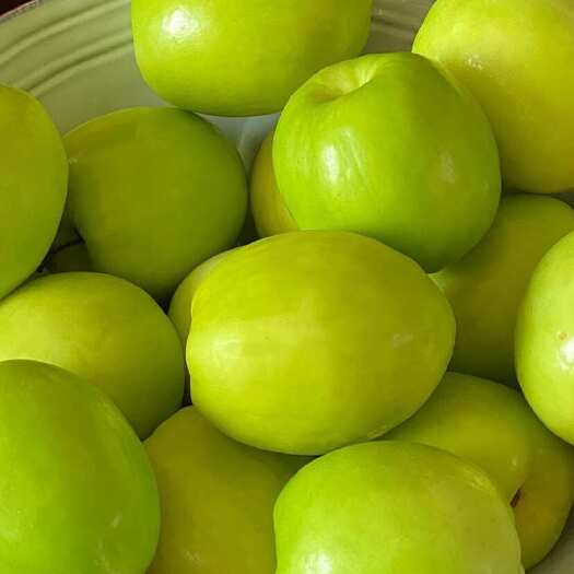 保山云南牛奶翡翠青蜜枣精品果大中小