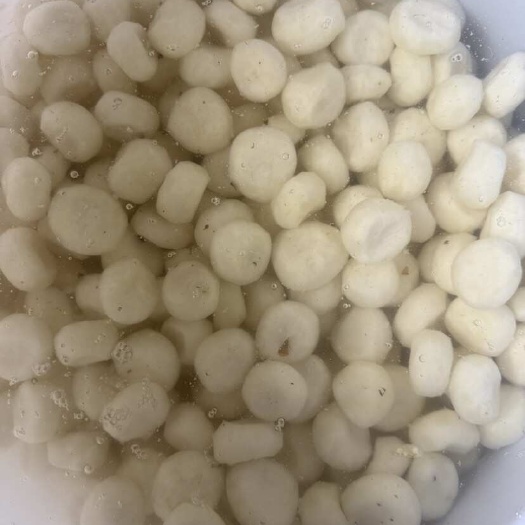 荔浦市泡水荔浦马蹄大果精品货