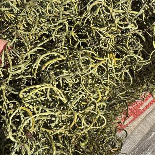 会理市化石草，肾精茶
