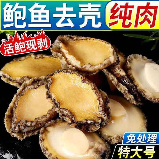 日照新鲜鲍鱼肉活鲍现剥纯肉去牙去壳去内脏真空包装顺丰包邮