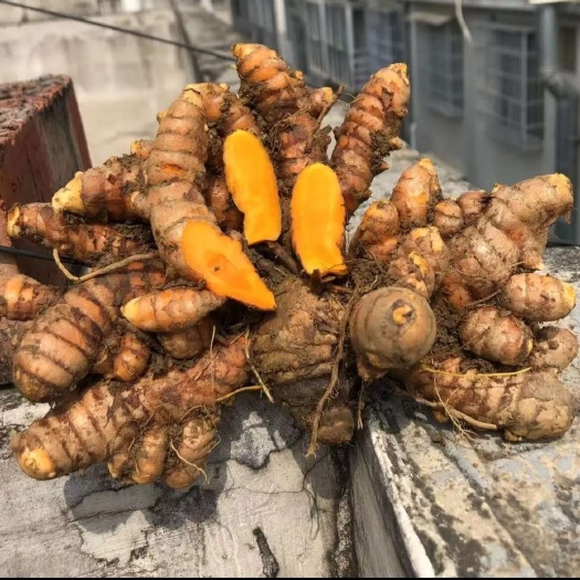 靖西市广西姜黄村里自己种植，量大小量都有欢迎有需要朋友私信或者关注