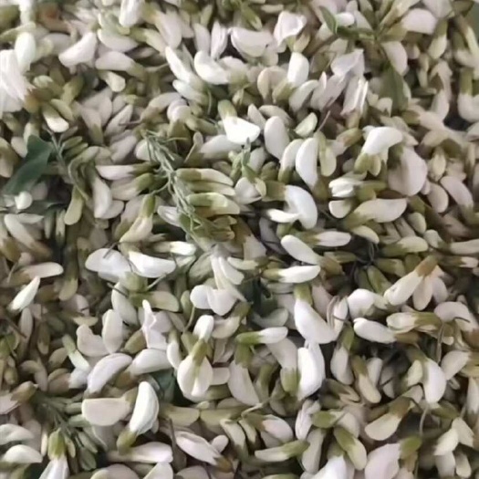 洋槐花