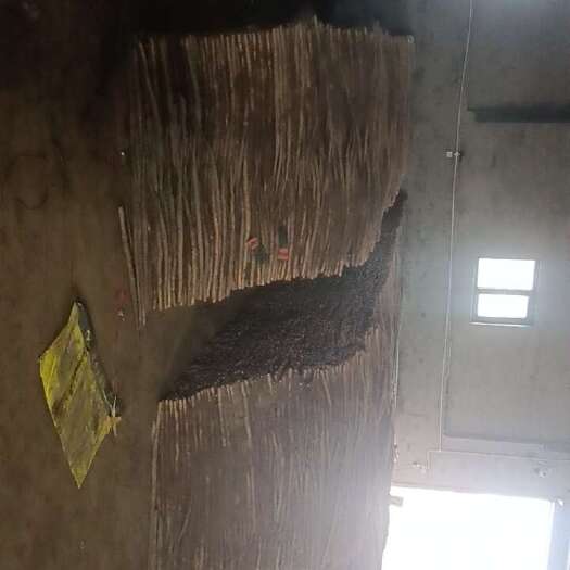 清丰县铁棍山药