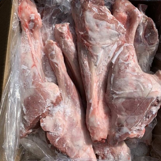 郑州内蒙乌拉特羔羊小腿，羊后腱子烧烤卤纯干羊副分割现宰鲜割羊肉