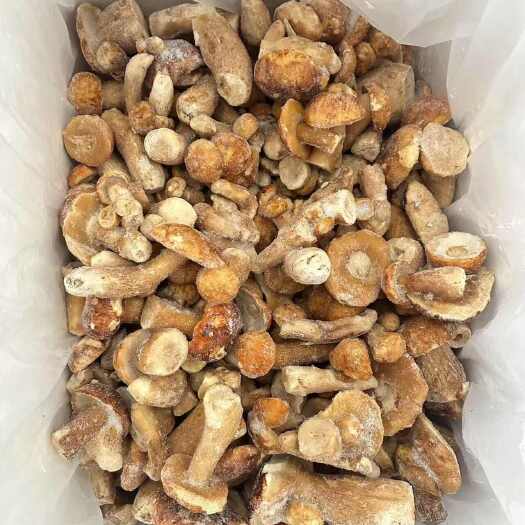 昆明美味牛肝菌冻品鲜货