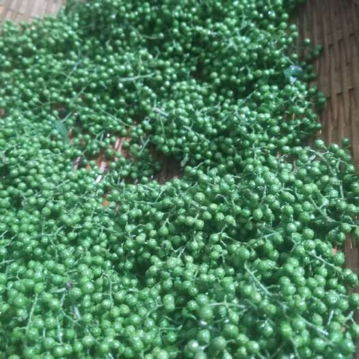 青花椒，四川本地种植基地花椒