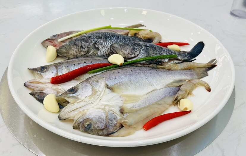 苏州厂家供应海鲈鱼八爪鱼牛蛙黑鱼片长三角地区送货上门