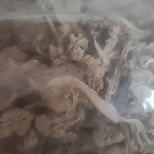 城固县干菜花，脱水干花菜