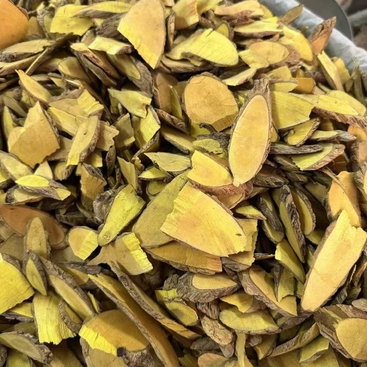 中药材 土黄连批发 量大从优