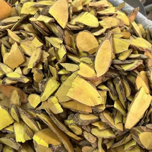 玉林中药材 土黄连批发 量大从优