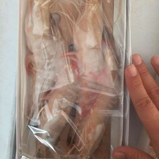 荣成市大海4A对虾