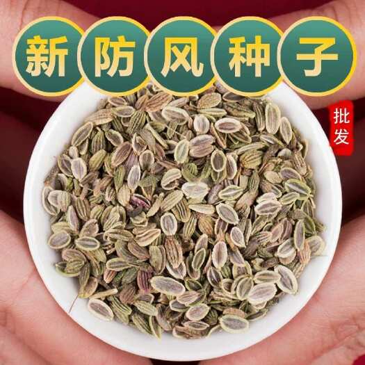 安国市防风种子 精选纯新防风籽 批发零售 提供技术 可回收产品