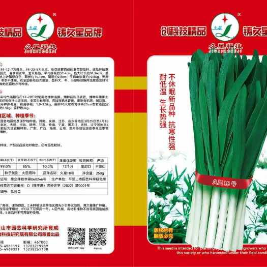 平顶山久星18号，韭菜种子，高抗寒，生长速度快，高抗病虫害，不休眠