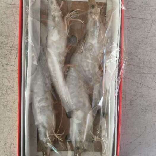 荣成市中四头对虾无水活冻