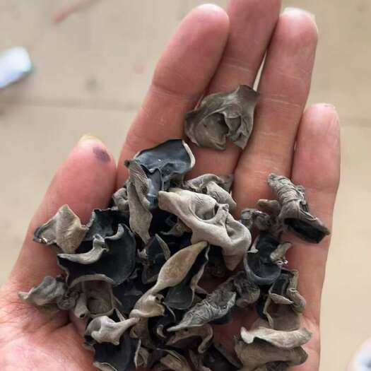 东北黑木耳 不加重木耳干 地摊 电商 批发干木耳 泡发率高