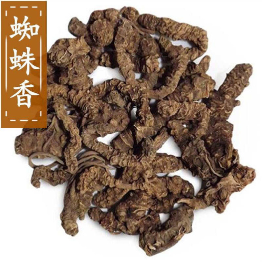 自家农业专业种植-蜘蛛香
