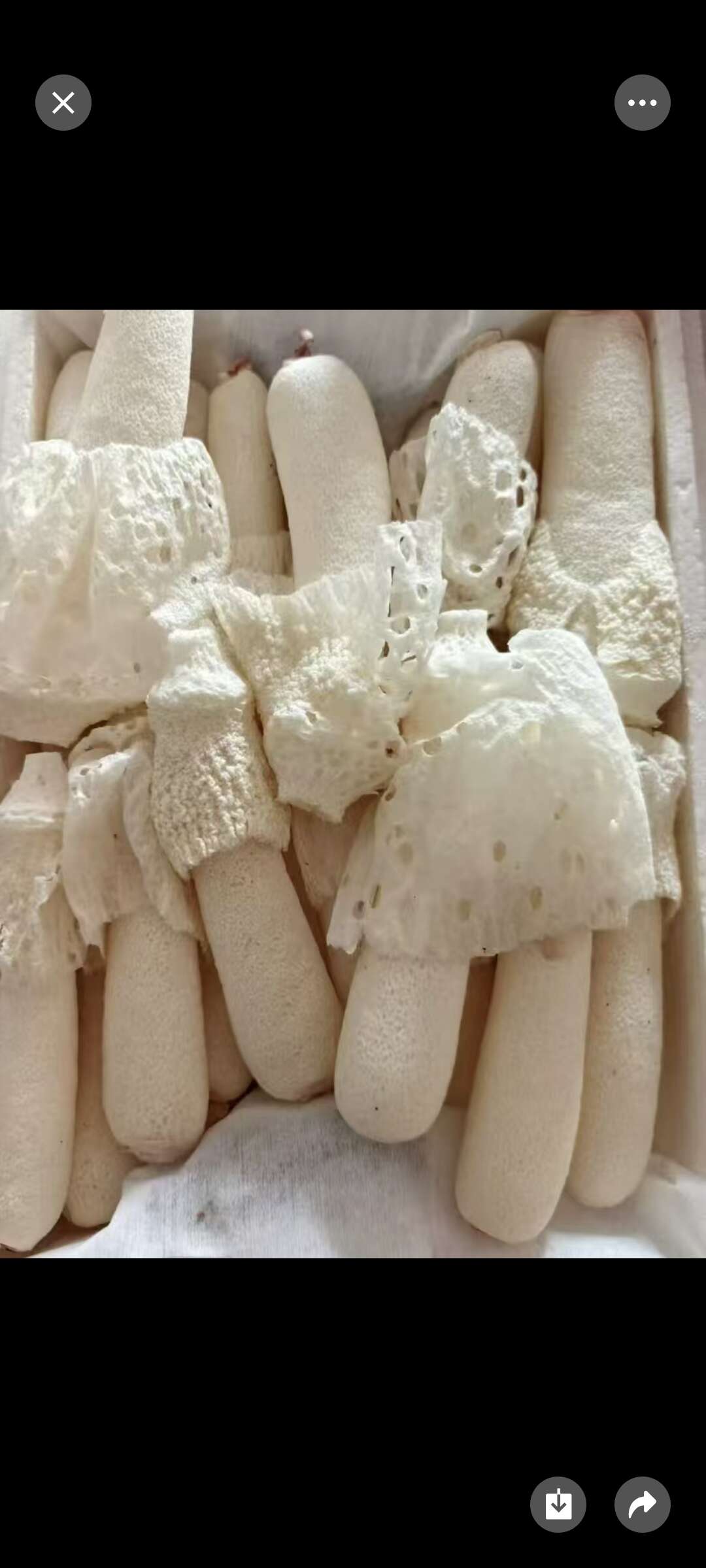 新鲜精品竹荪，基地直接发货质量优质。