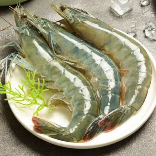 宁波南美白对虾，熟虾，香虾，虾干，对虾虾仁，青虾