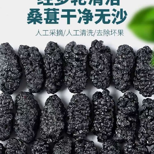 【大粒】新疆野生大果桑葚干黑桑葚黑桑椹干免洗无沙果干泡水即食