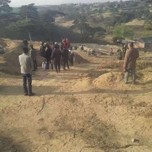 京南雄安新区西部山区清西陵景区附近600亩山地林地整体转让