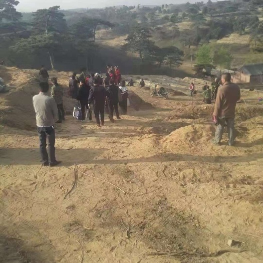 易县京南雄安新区西部山区清西陵景区附近600亩山地林地整体转让