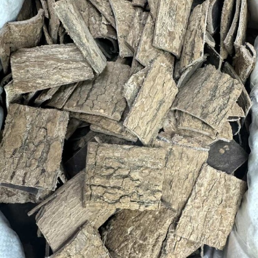 杜仲 杜仲片 小方块杜仲片  中药材 杜仲片方块