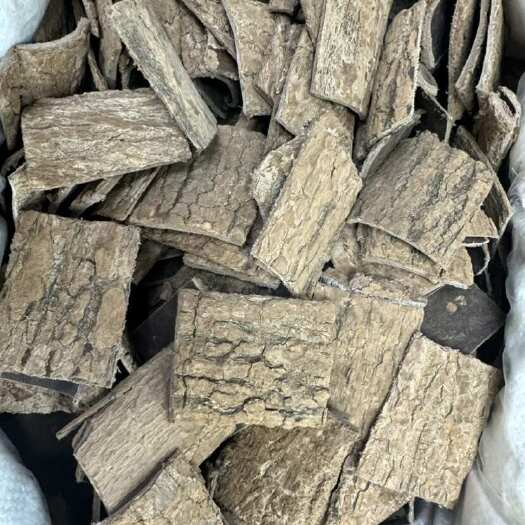 广州杜仲 杜仲片 小方块杜仲片  中药材 杜仲片方块