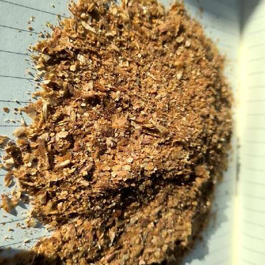 石家庄玉米胚芽粕，全国各地都发货