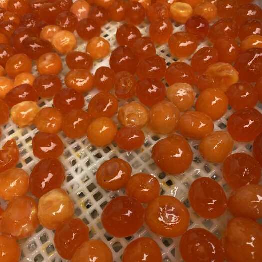 咸鸭蛋黄，海鸭蛋黄，红心蛋黄，烘培、糕点馅料