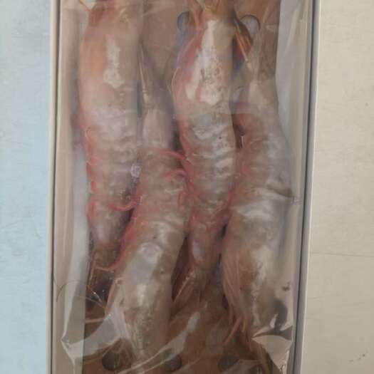 荣成市大海4AA对虾