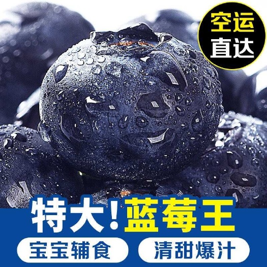 云南蓝莓大量上市 支持市场 团购 电商一件代发 价格便宜