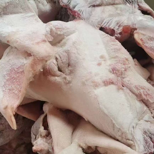 猪头新鲜猪副产品 山东临沂直供肉蛋类精选食材