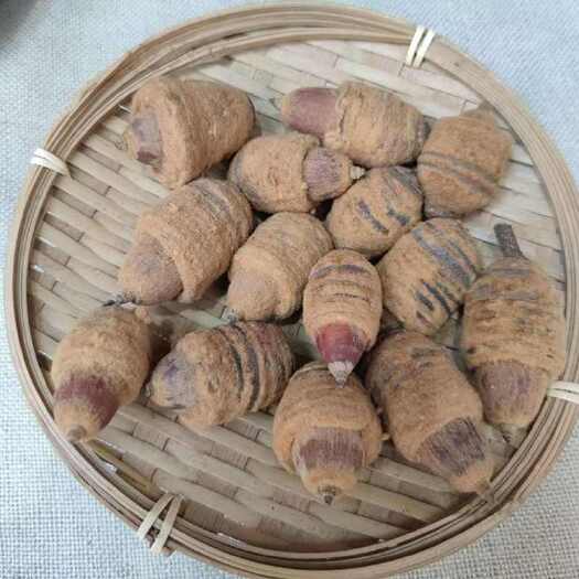 亳州中药材毛毛果 狗鞭果 虎鞭果