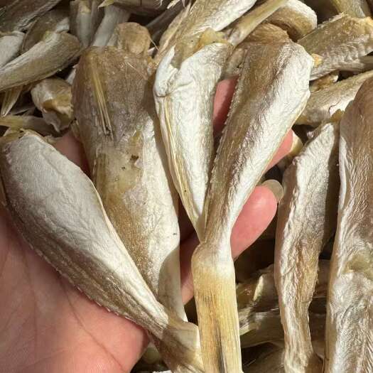 玉林北海特产（红娘鱼干）